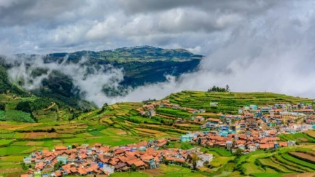 Best Places to Visit in Ooty