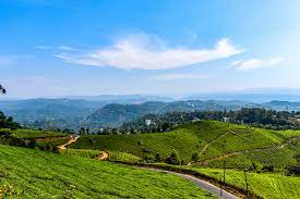 Munnar Tourist Places