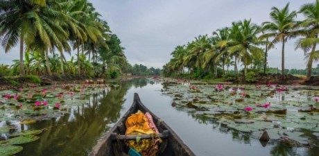 Place to visit in Kumarakom