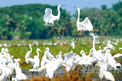 Place to visit in Kumarakom